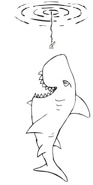 Shark 03